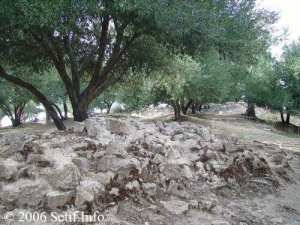 À 7 km au nord de Beni Aziz se trouve le site archéologique d'Ikedjane, Ikdjen, Ikdjan ou Ikjan.