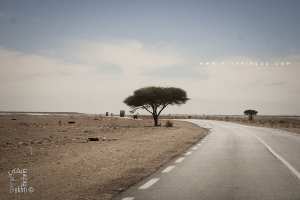 Route National 50 menant vers Tindouf