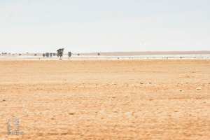 Un mirage dans le désert de Tindouf