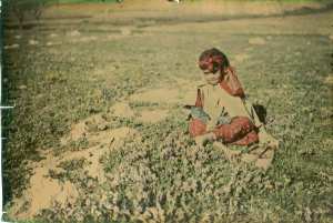 Portrait : Fille et fleurs sauvages