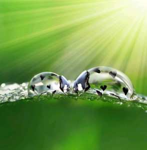 coccinelle surréaliste digital art