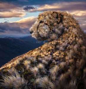 léopard digital art