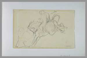 Cavalier sur un cheval ruant