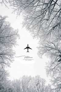 la magie du noir et blanc voyage hivernal