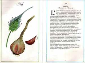 Plantes médicinales en Algérie