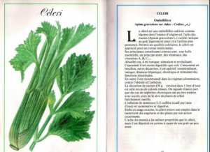 Plantes médicinales en Algérie