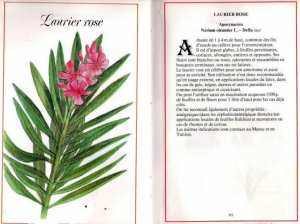 Plantes médicinales en Algérie