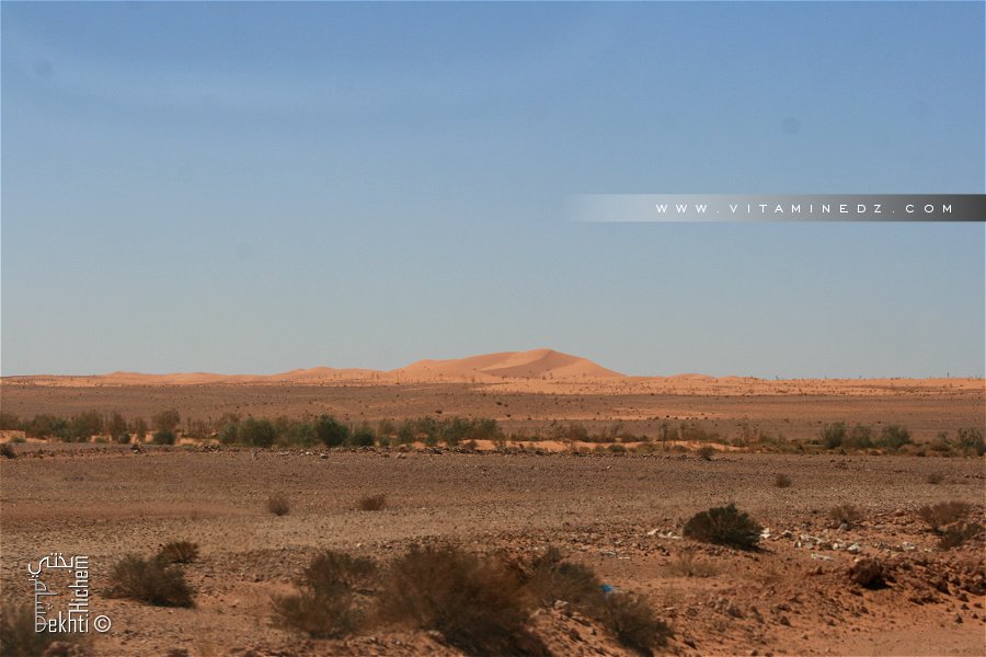 De petites dunes dans la Hamada du Guir