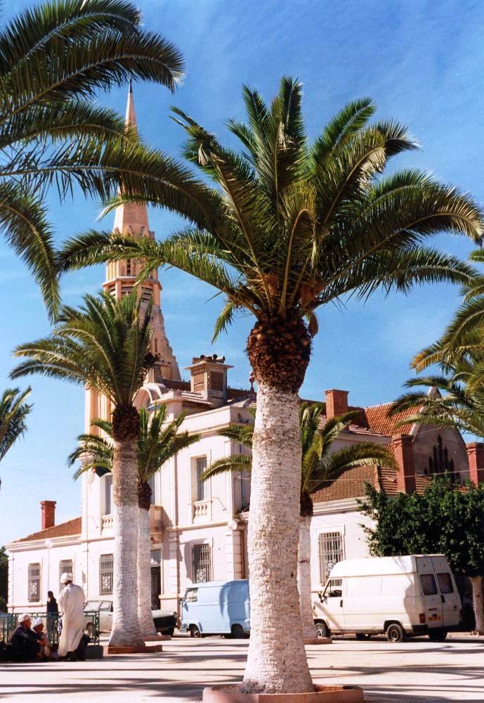 Ain Temouchent- Er Rahel- La Mairie et l'Eglise