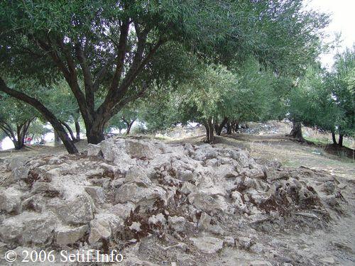 À 7 km au nord de Beni Aziz se trouve le site archéologique d'Ikedjane, Ikdjen, Ikdjan ou Ikjan.