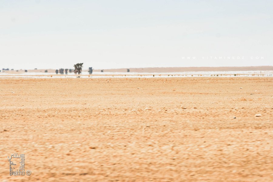 Un mirage dans le désert de Tindouf