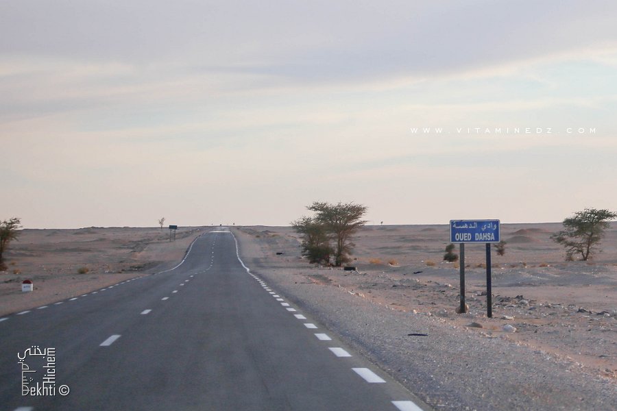 Oued Dahsa (Commune Oum El assel, Tindouf)