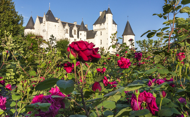 Rose Tess of the d’Ubervilles