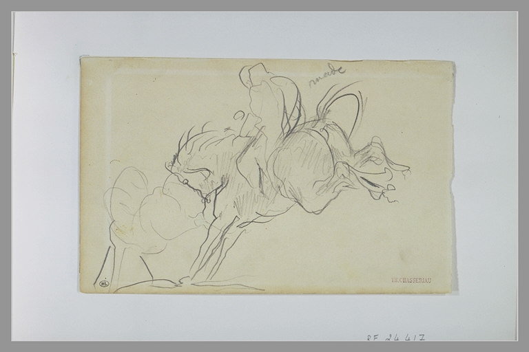 Cavalier sur un cheval ruant