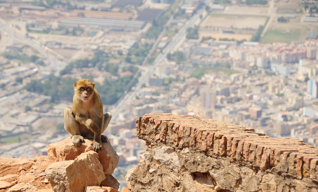 Béjaia- Bordj Gouraya