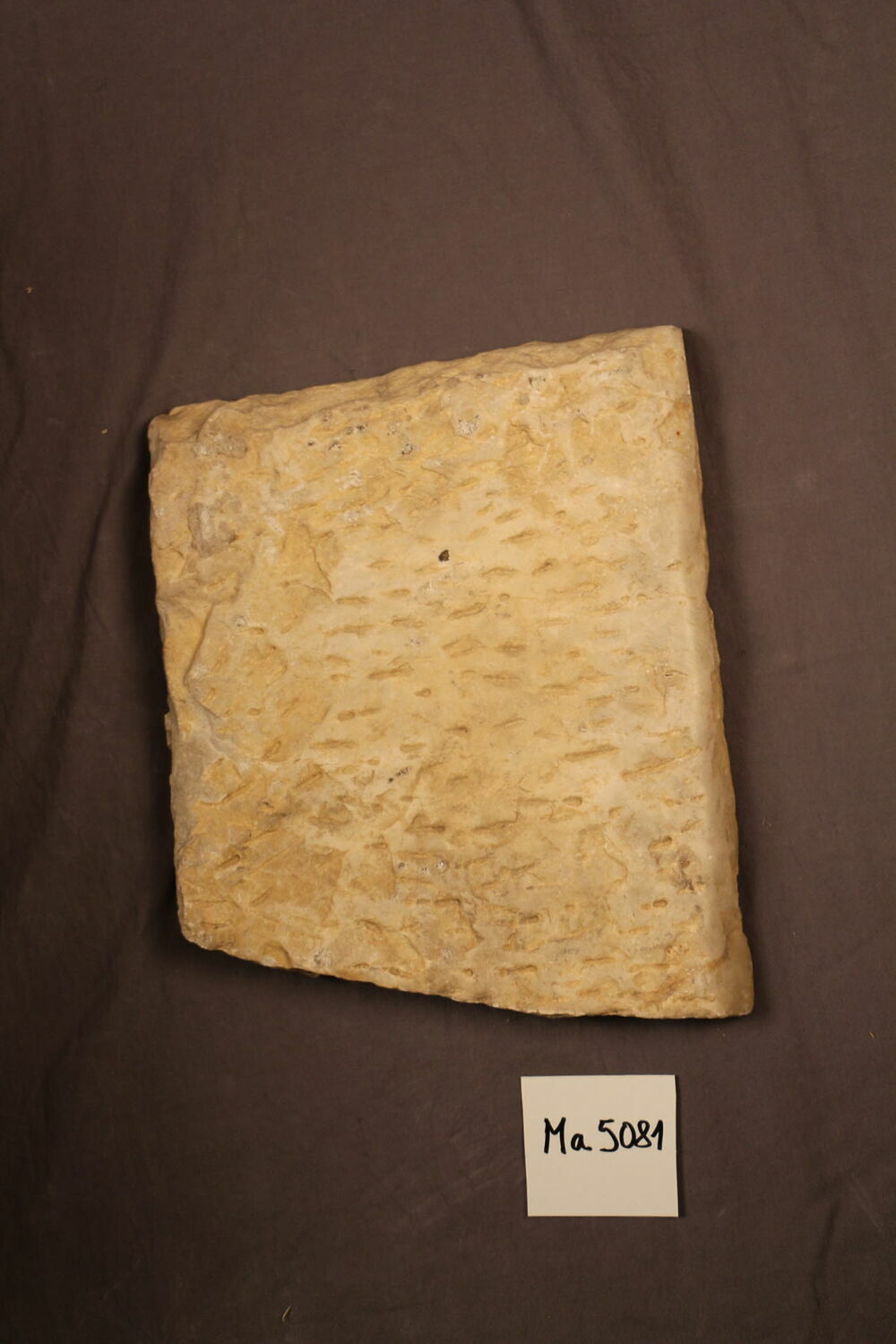 Chapiteau de pilastre