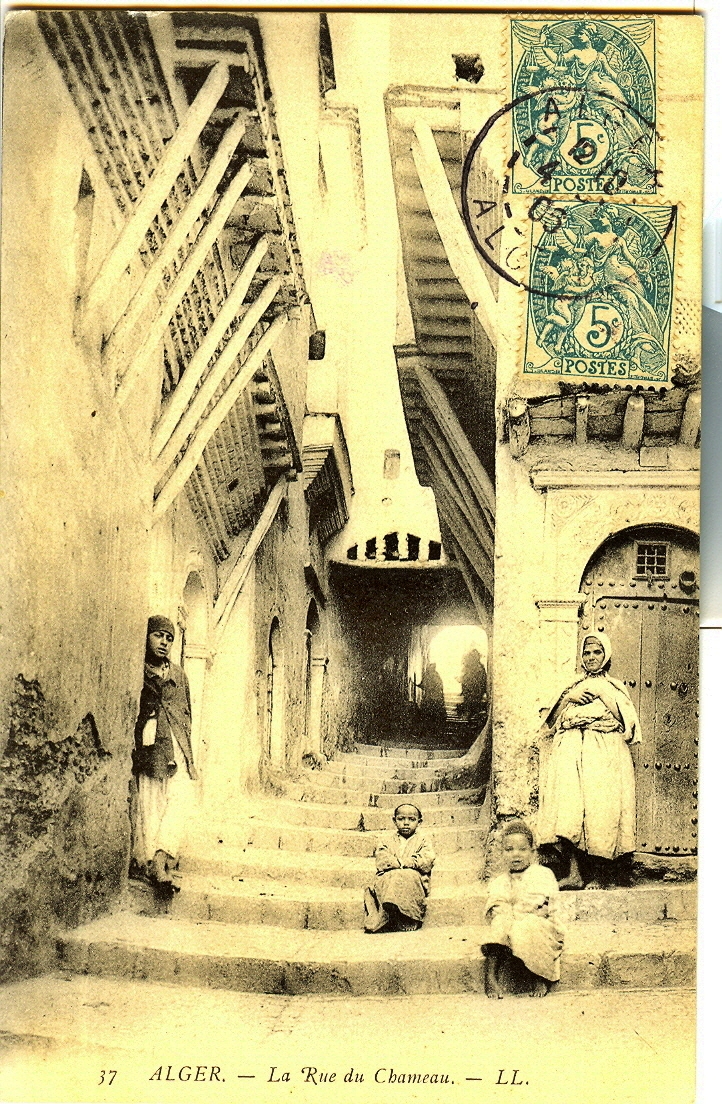 Alger- carte postale