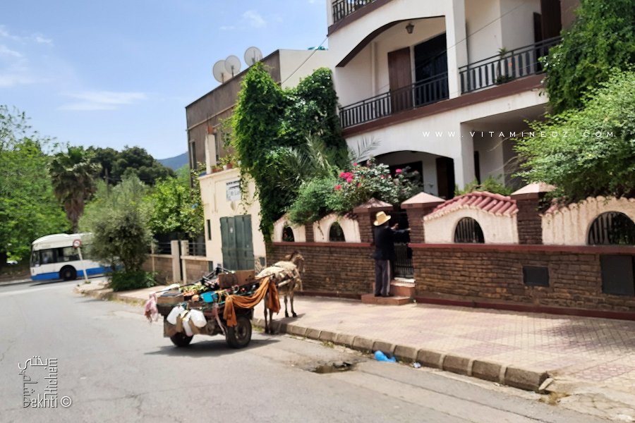Marchand de légumes avec un âne et une charrette (Carro)