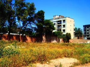 Printemps de la cité