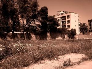 Printemps de la cité ( Nostalgie )