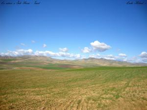 La nature a Sidi Hosni - Tiaret
