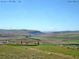 La nature a Sidi Hosni - Tiaret