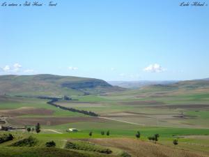 La nature a Sidi Hosni - Tiaret