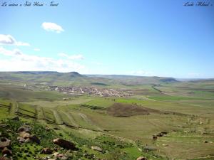 La nature a Sidi Hosni - Tiaret
