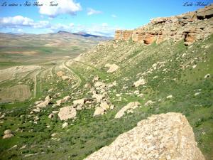 La nature a Sidi Hosni - Tiaret