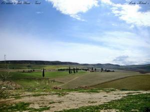 La nature a Sidi Hosni - Tiaret