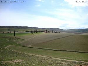 La nature a Sidi Hosni - Tiaret