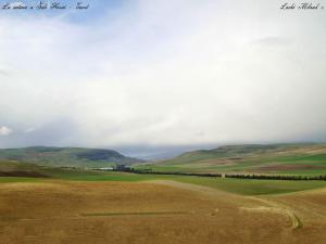La nature a Sidi Hosni - Tiaret