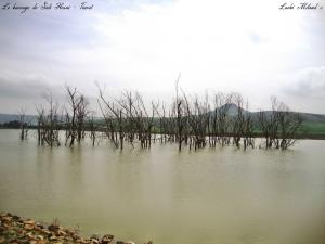 Le barrage de Sidi Hosni - Tiaret