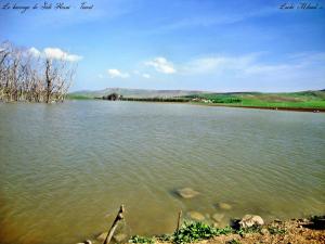 Le barrage de Sidi Hosni - Tiaret