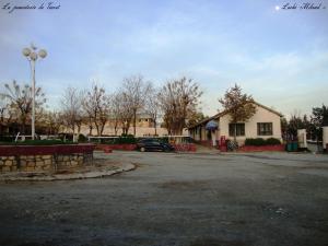 La jumenterie de Tiaret