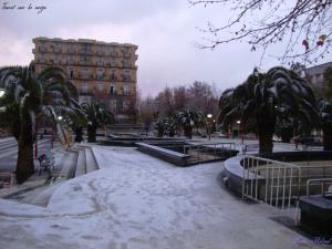 Tiaret sur la neige