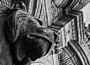 Details & expressions