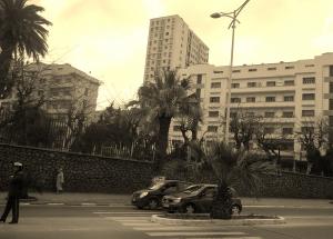 a cote de la wilaya d'oran