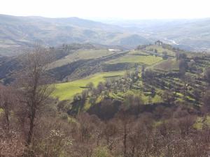 برج زمورة منظر عام