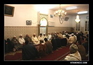 الإحتفال بالمولد النبوي الشريف بزاوية الشيخ بنيلس