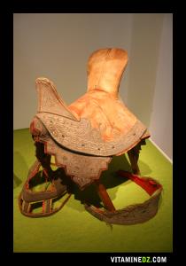 Selle et harnachement