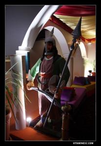 Garde royale Zianide  Reconstitution