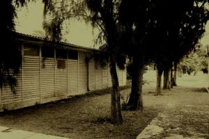 Forêt et Université