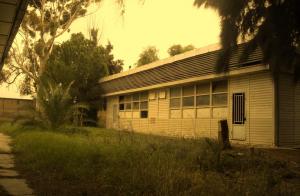 Forêt et Université 2