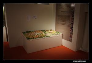 Mansourah la victorieuse ...