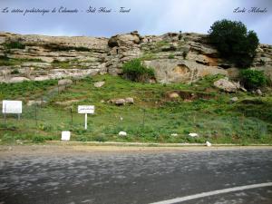 La station préhistorique de Columnata  a Sidi Hosni -Tiaret