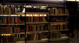 Culture ( économie )