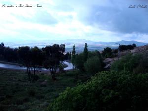La verdure a Sidi Hosni - Tiaret