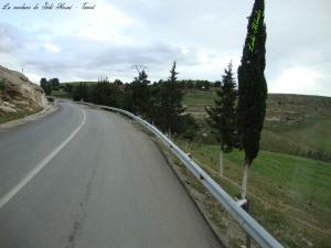 La verdure a Sidi Hosni - Tiaret
