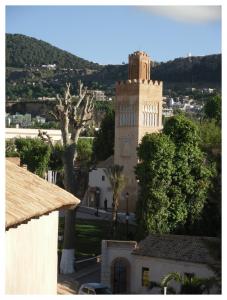 مسجد قلعة المشور